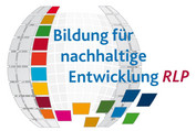 Logo BNE RLP